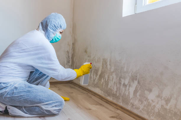 Hvac And Air Duct Mold Remediation inspection of HVAC system in Oxford